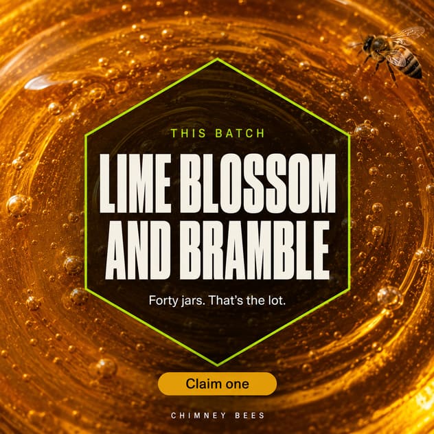 A finished social post: a macro of honey with “Lime blossom and bramble” set inside a hexagon.
